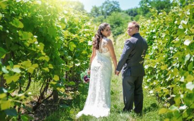 Vineyard Wedding: Elizabeth & Dave