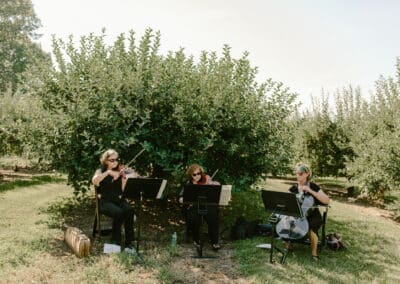 live ceremony musicians