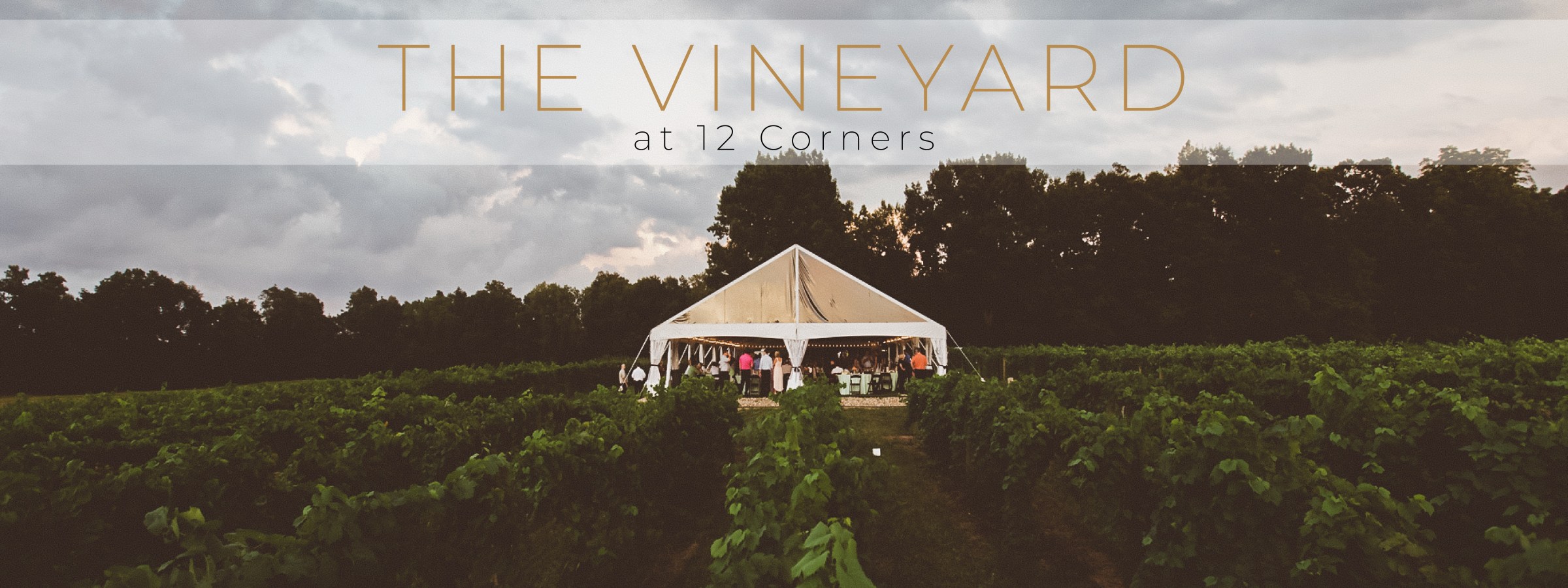 Vineyard at 12 Corners Wedding Venue Michigan